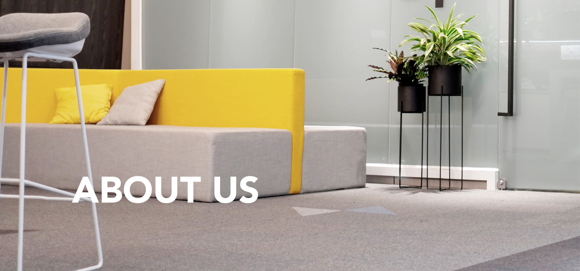 ABOUT US